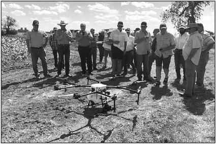 Cotton producers have begun using unmanned aerial vehicles to monitor for boll weevils. Producers have embraced technology and science to eradicate the pest Courtesy photo