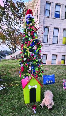 PAWS is People’s Choice for best tree