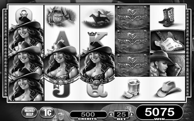 Basegame screen for Country Girl slot machine game. Art by Mandy Napper. Courtesy Photo